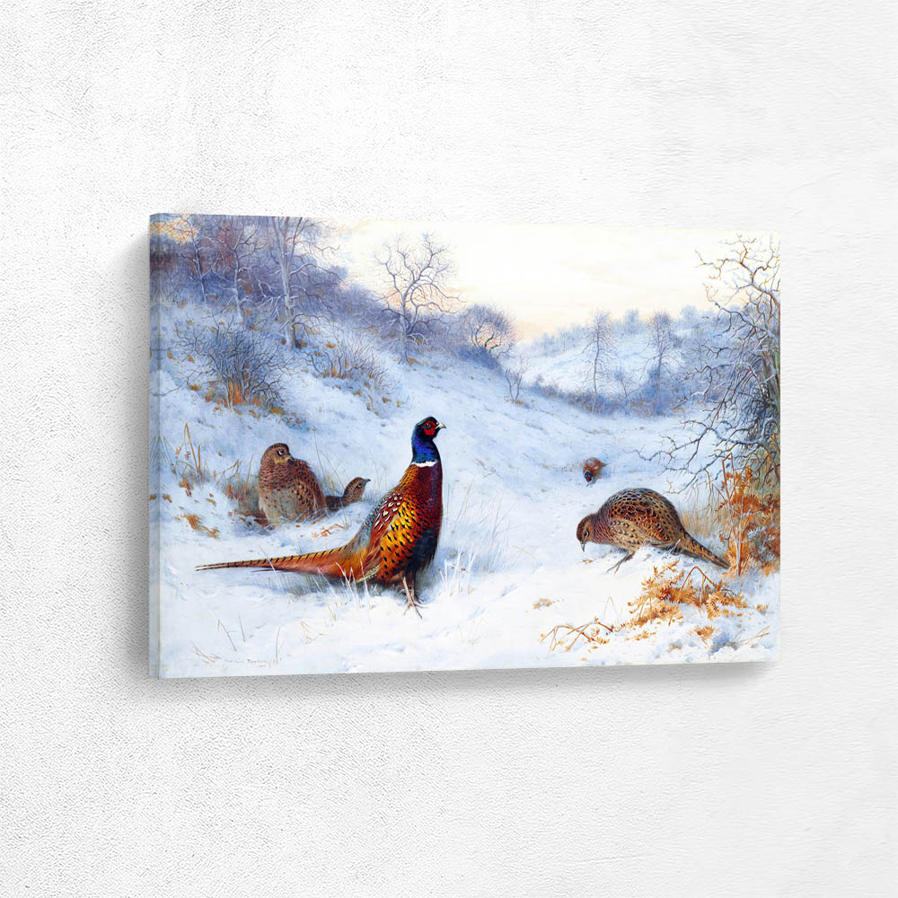Pheasant in the Snow