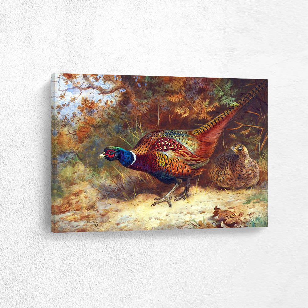 Cock and Hen Pheasant in Undergrowth