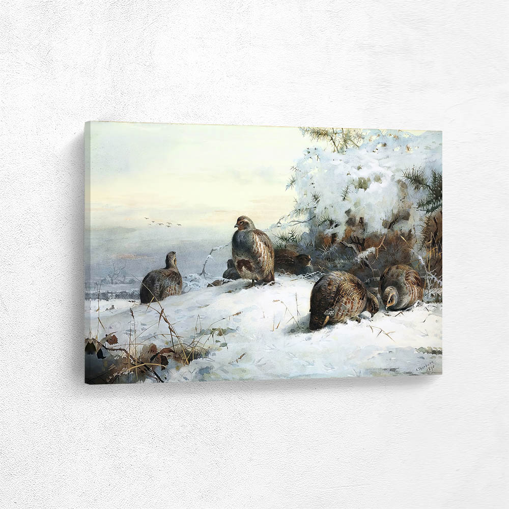 A Covey of Grey Partridge in a Snow Bound Landscape