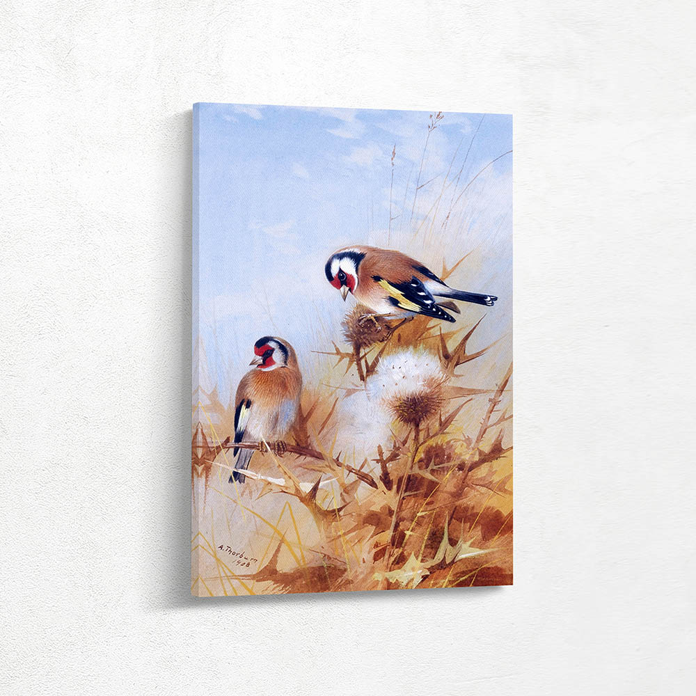 Goldfinches