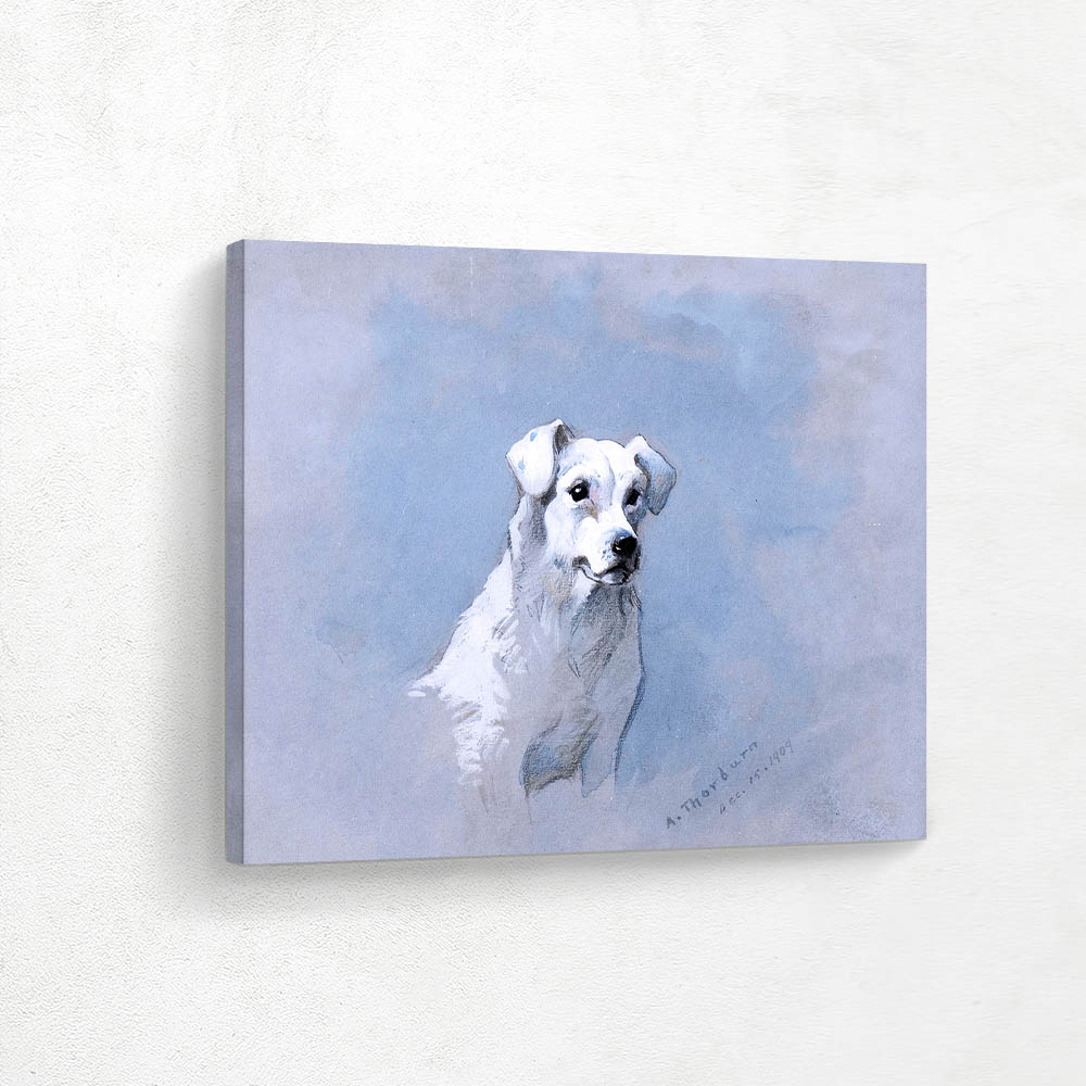 White Dog