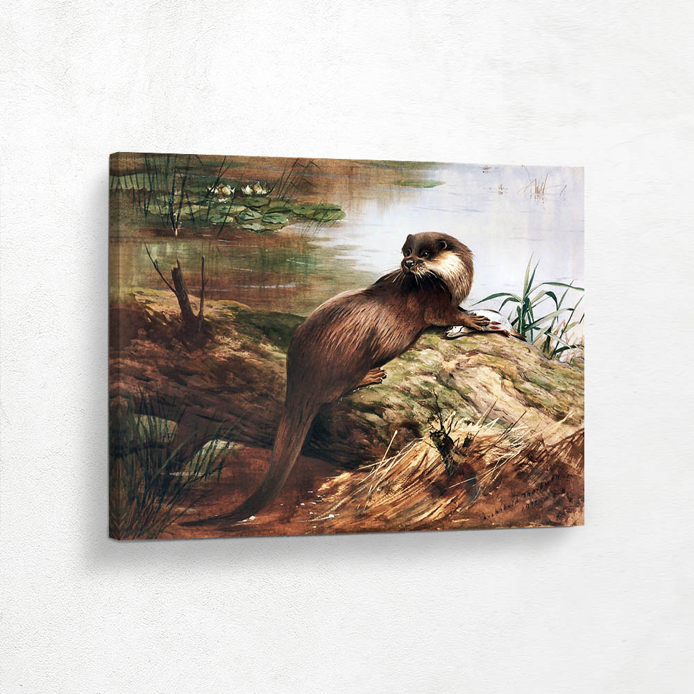  An Otter with a Fish