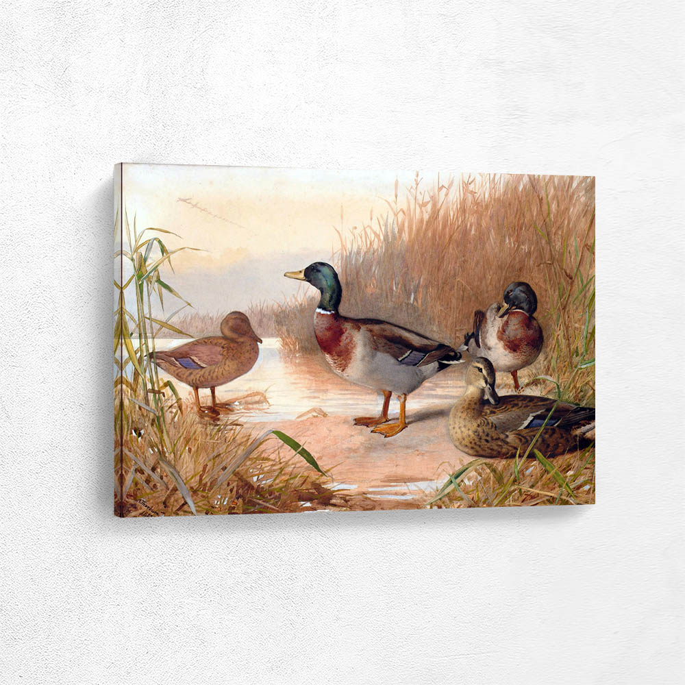 Mallards on the Waters Edge