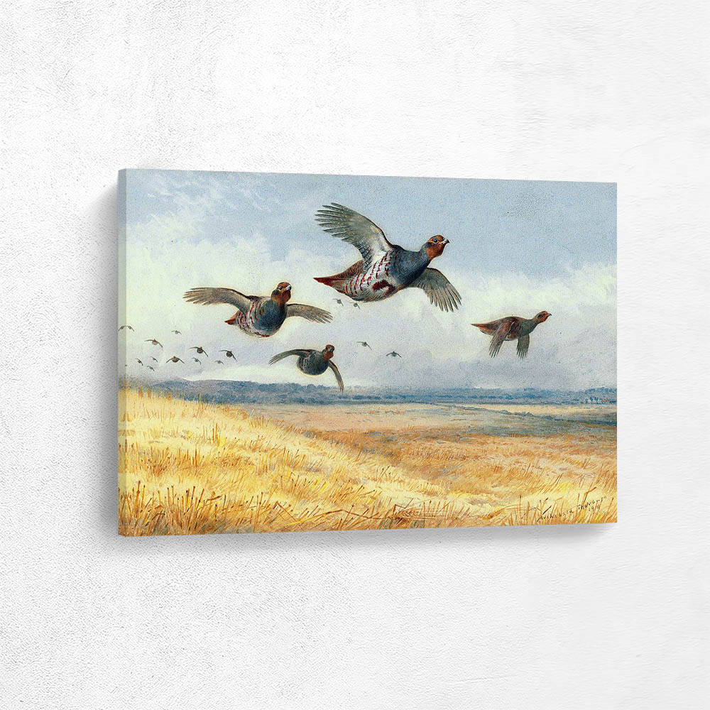 A Covey of Partridge in Flight over a Field of Corn