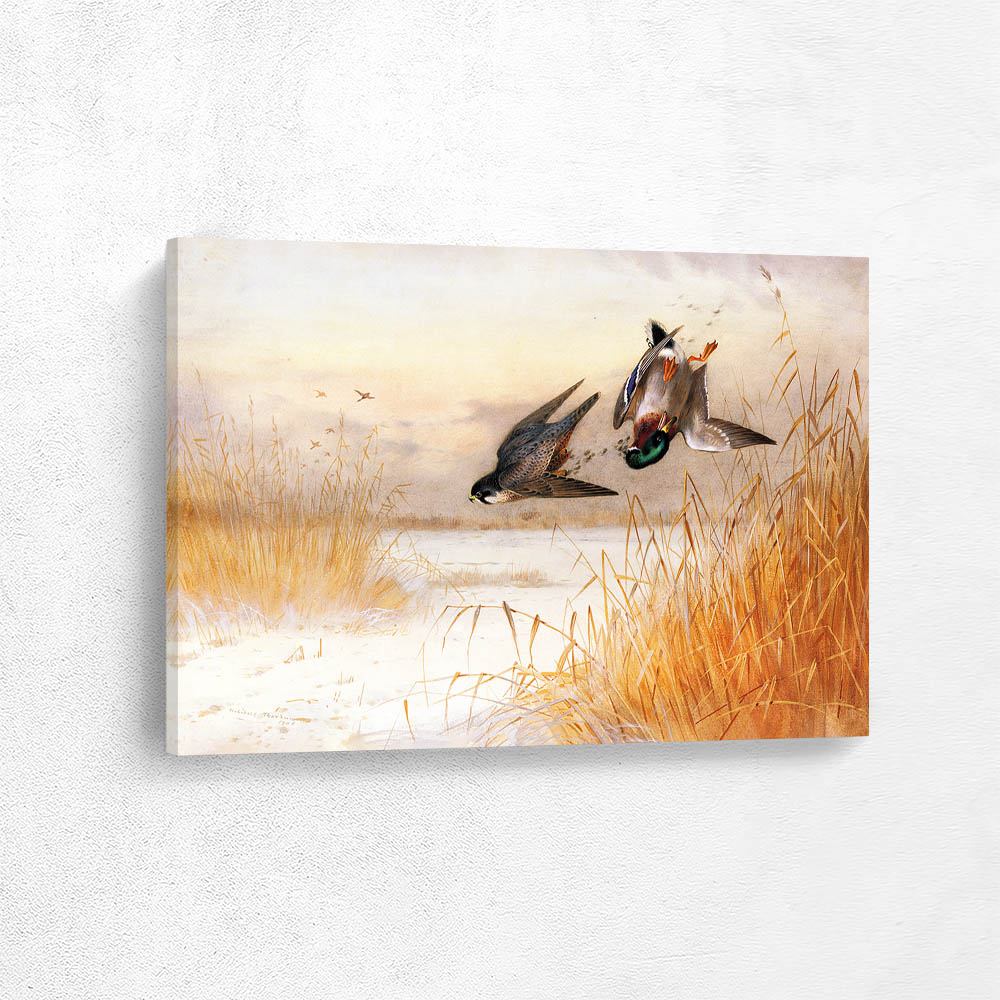 Killed as he Reaches Cover