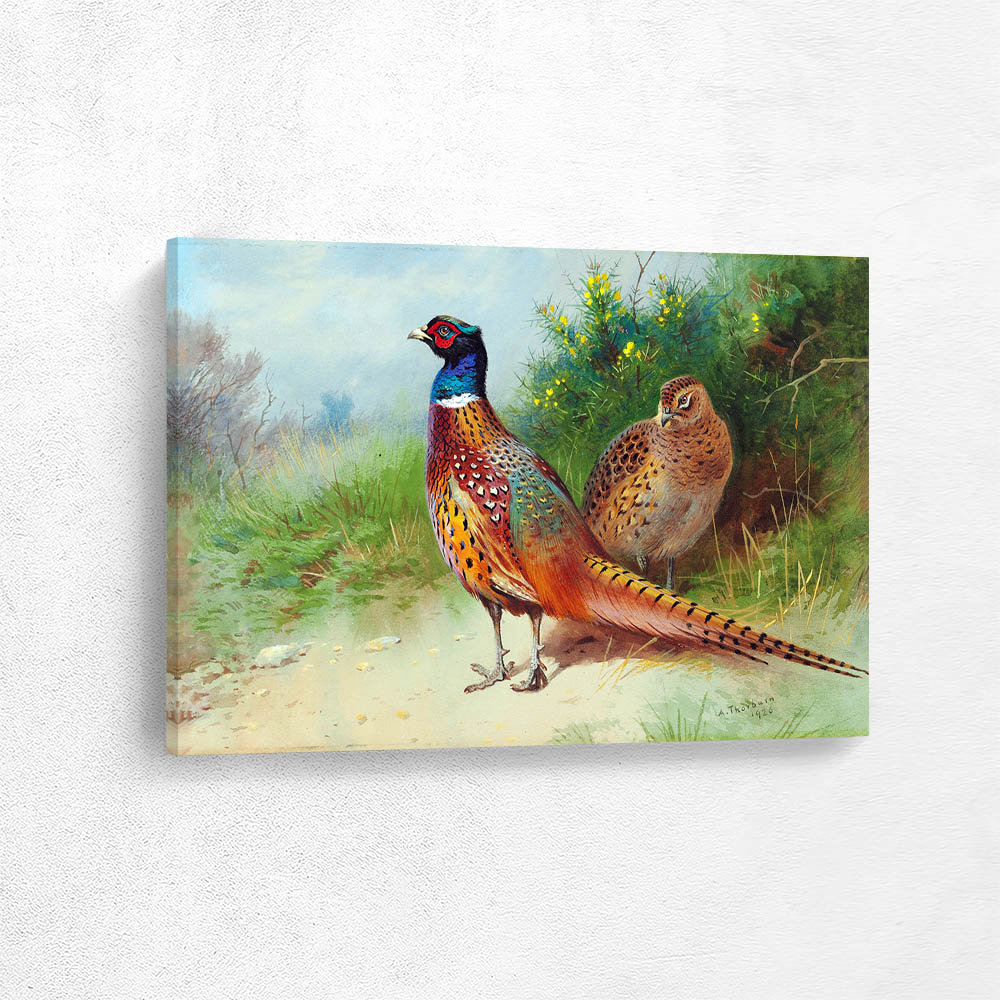 A Hen and Cock Pheasant