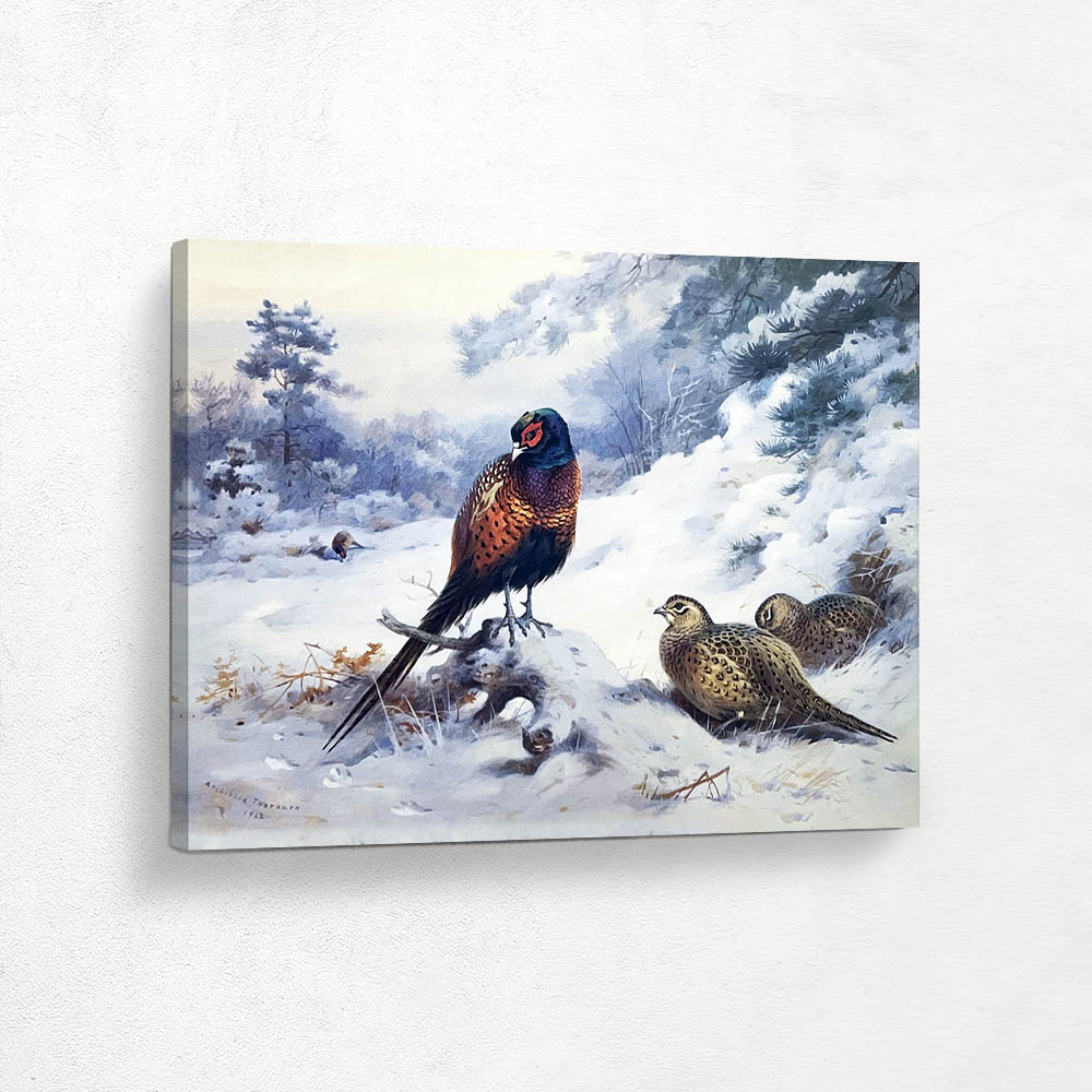 Cock and Hen Pheasant