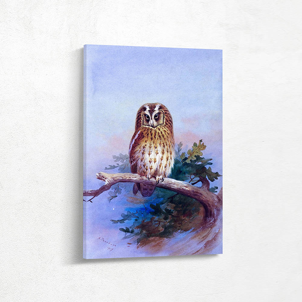 A Tawny Owl Perched on an Oak Branch