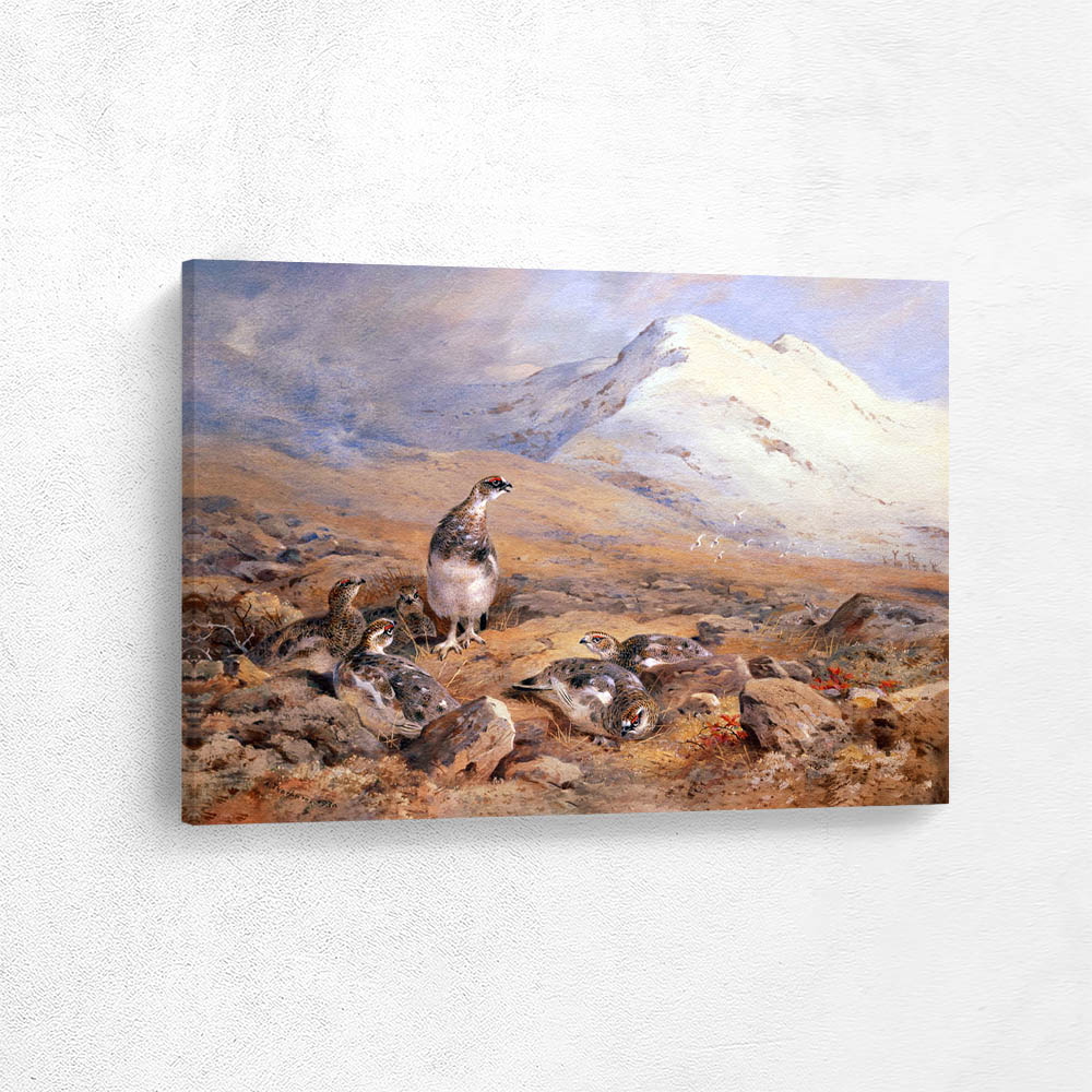 On the Ptarmigan Ground