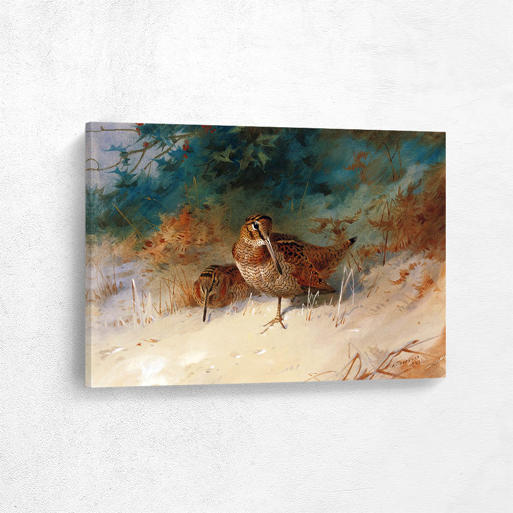 Woodcock in a Winter Landscape