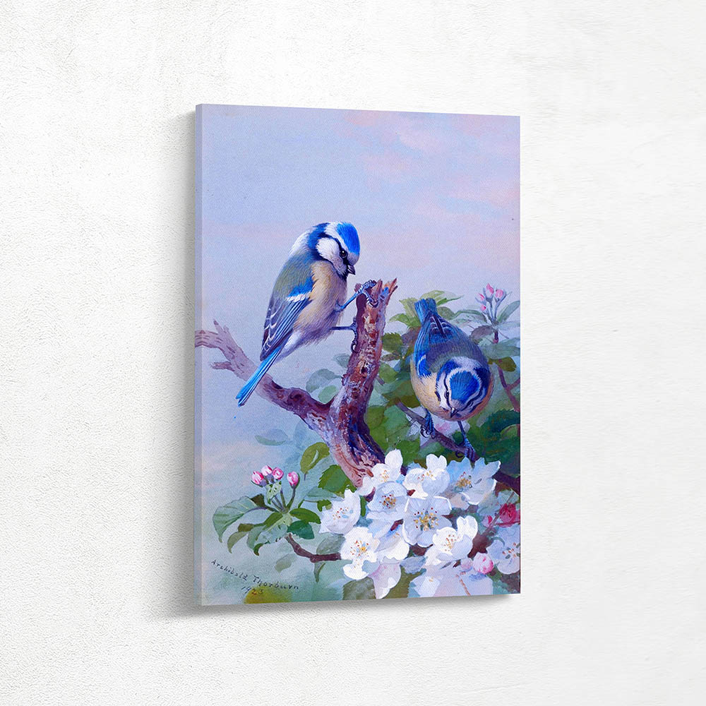 Two Blue Tits on a Tree Branch