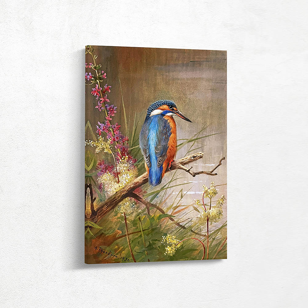 Kingfisher Kingfisher