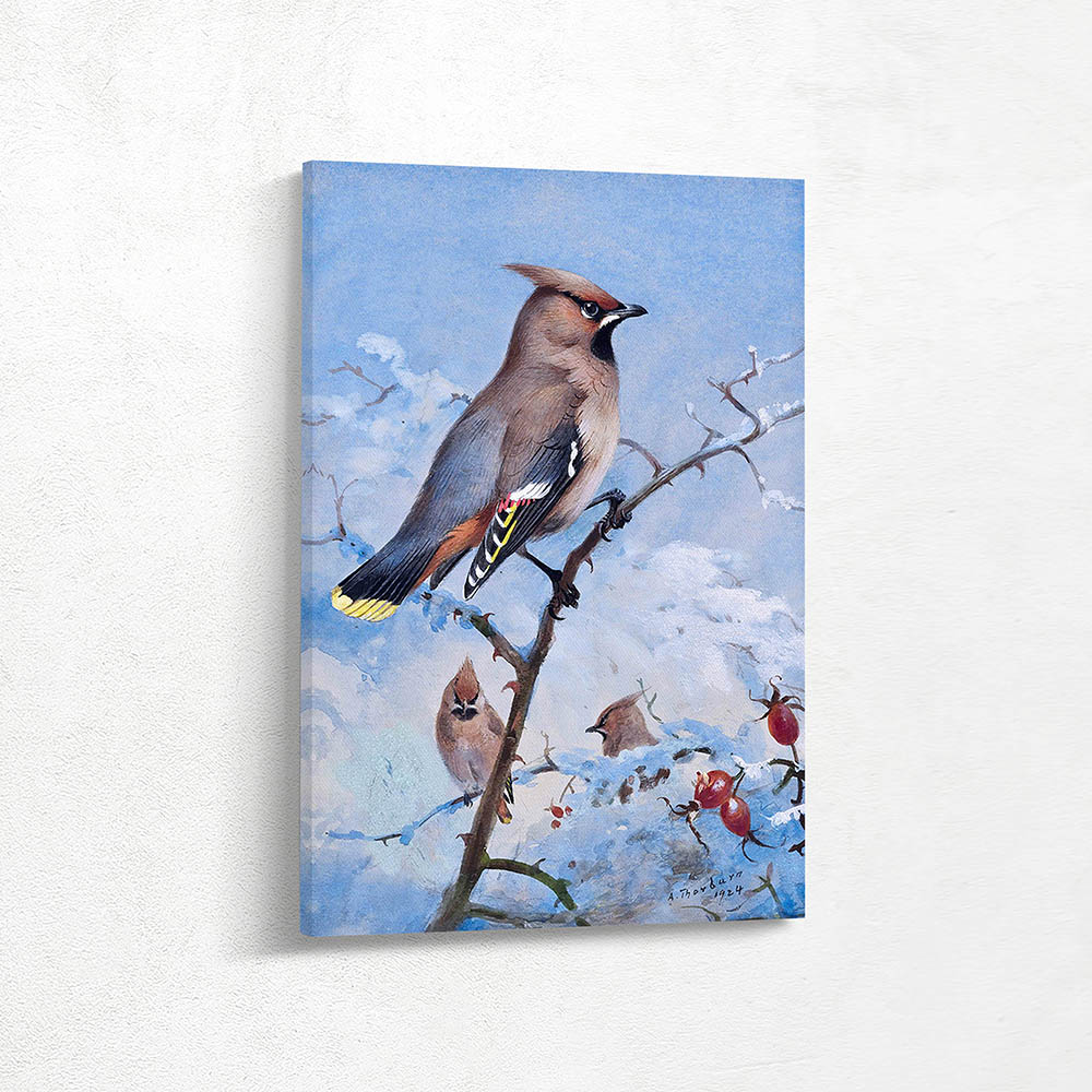 Three Waxwings on a Rose in Winter