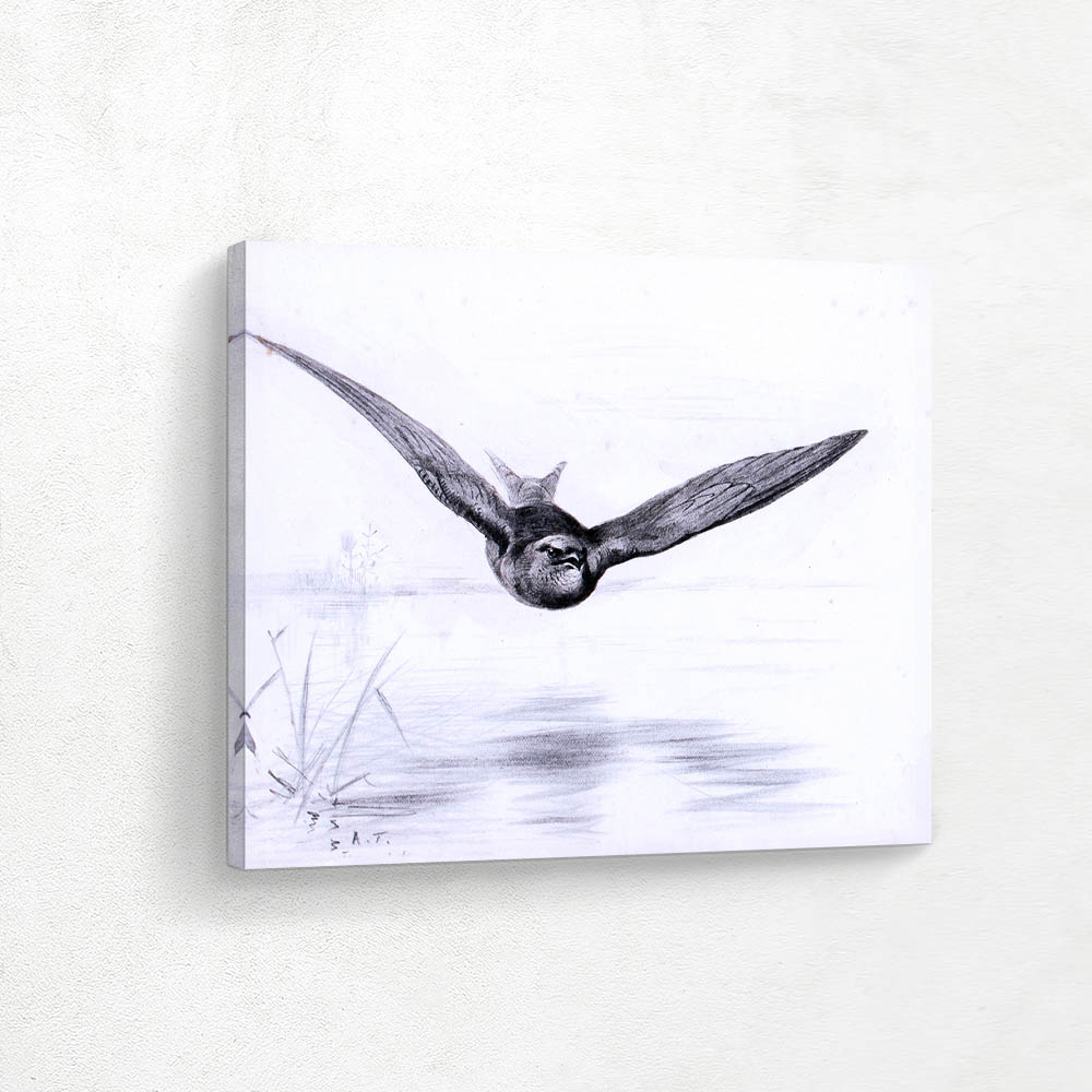 Kite Swooping over a Loch