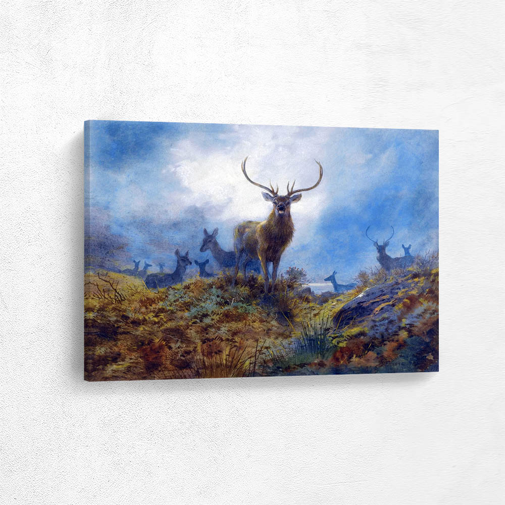 The Last Chance Before Dark