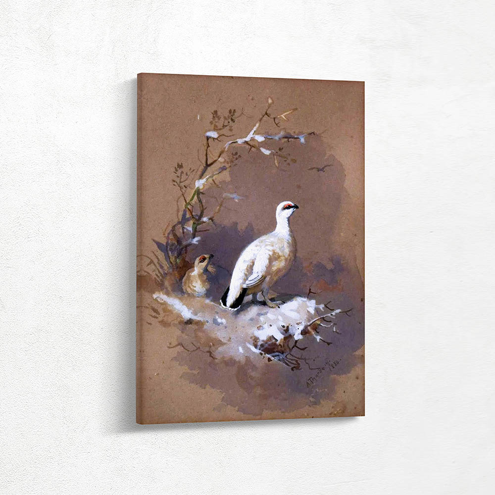 Study of a Ptarmigan in Snow