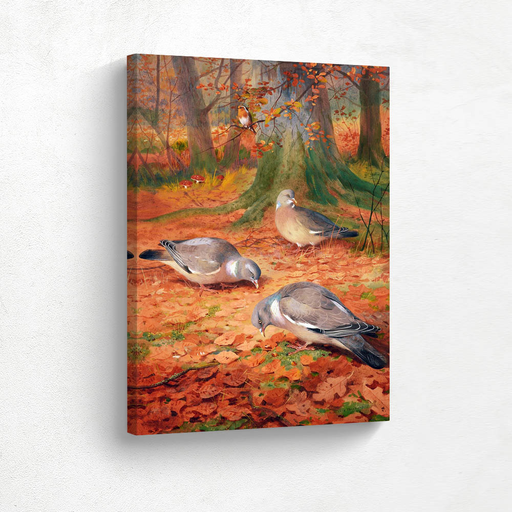 Wood Pigeons in Autumn