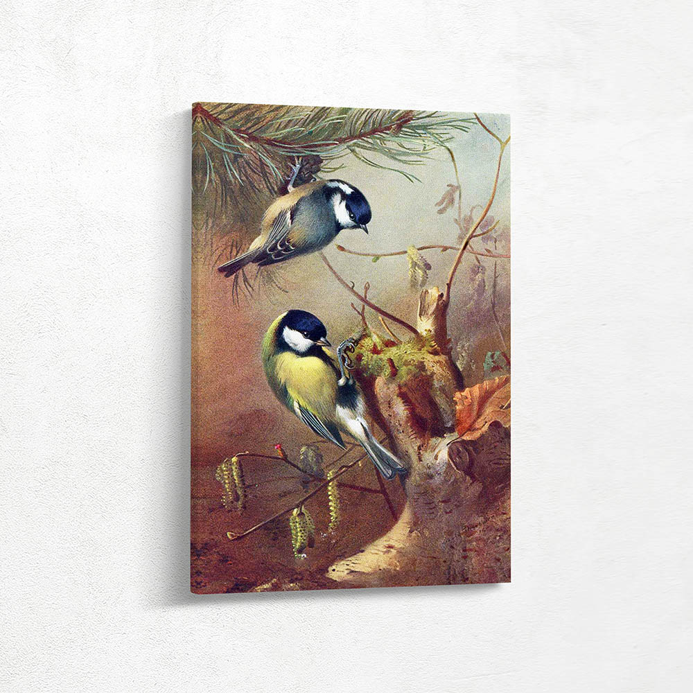 Great Tits Among Catkins