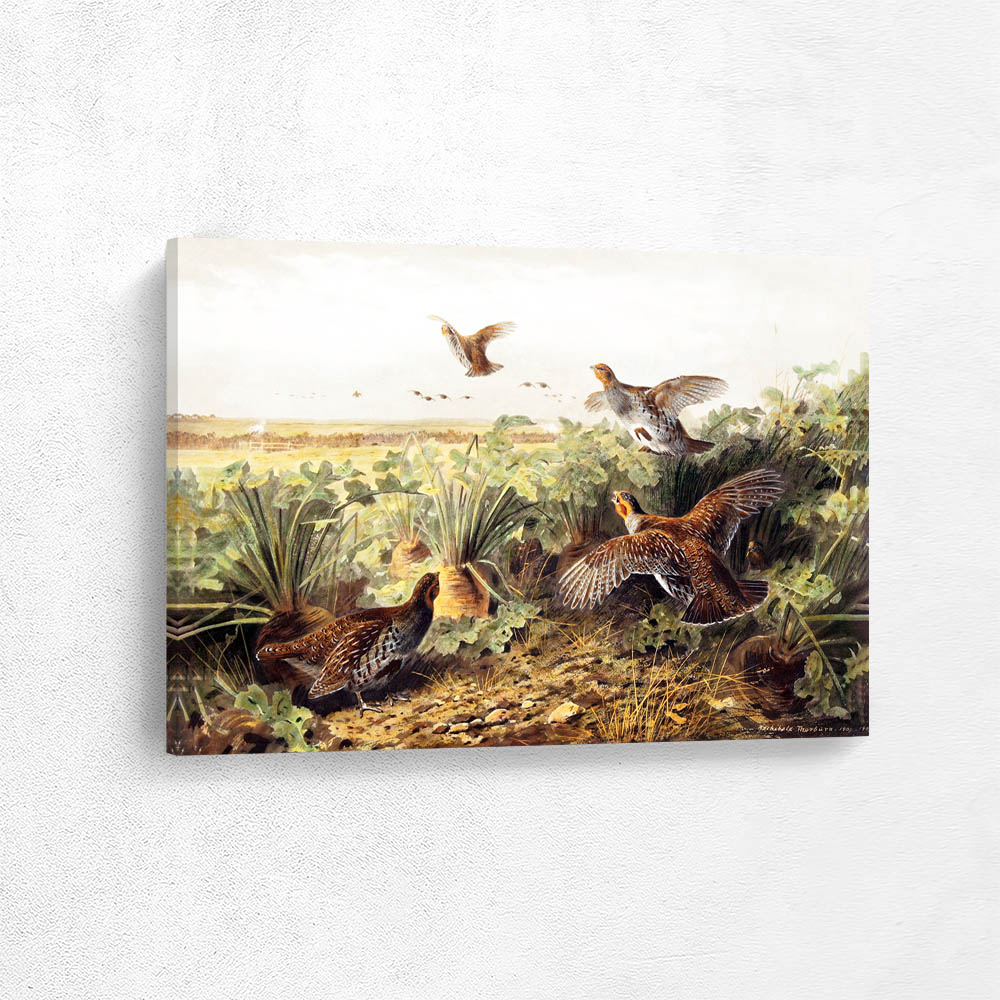 Grouse Taking Flight