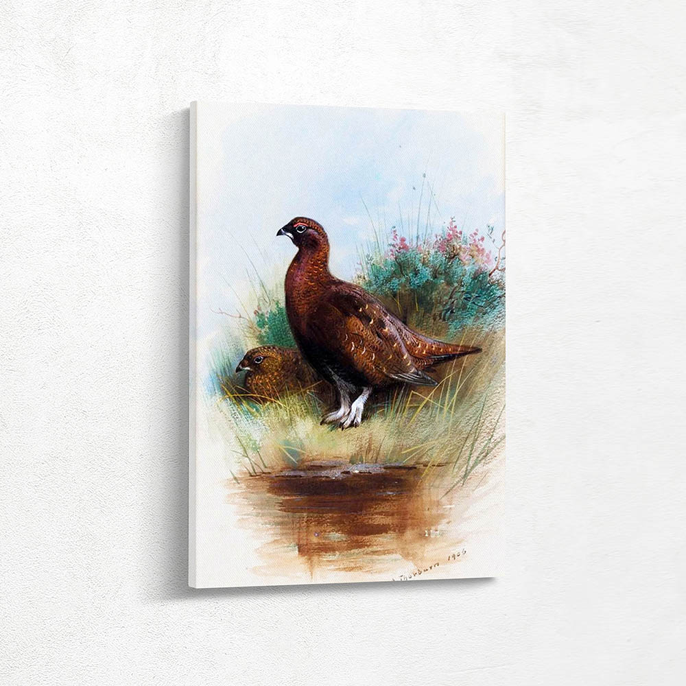 Cock and Hen Red Grouse