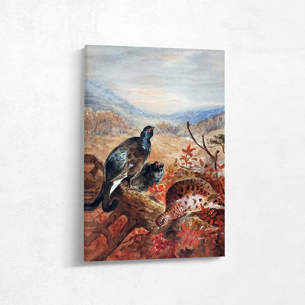 Black Game Cock and Hen