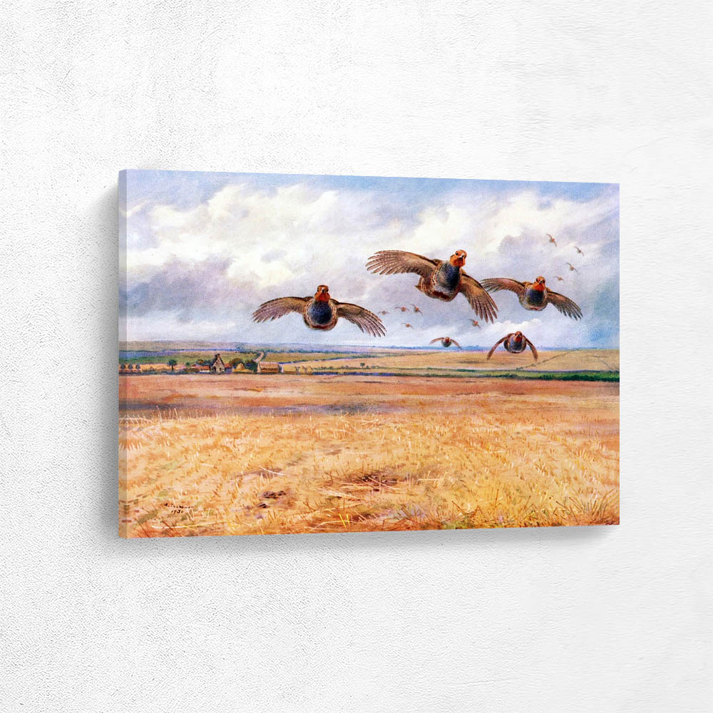 Patridges in Norfolk