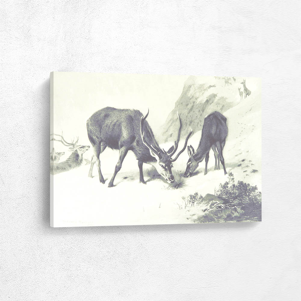 Stags and Does