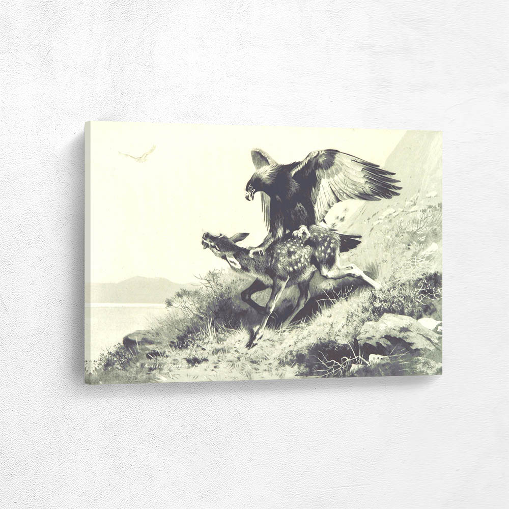 Eagle Getting a Fawn