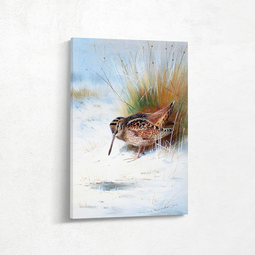 Woodcock in a Snow Landscape