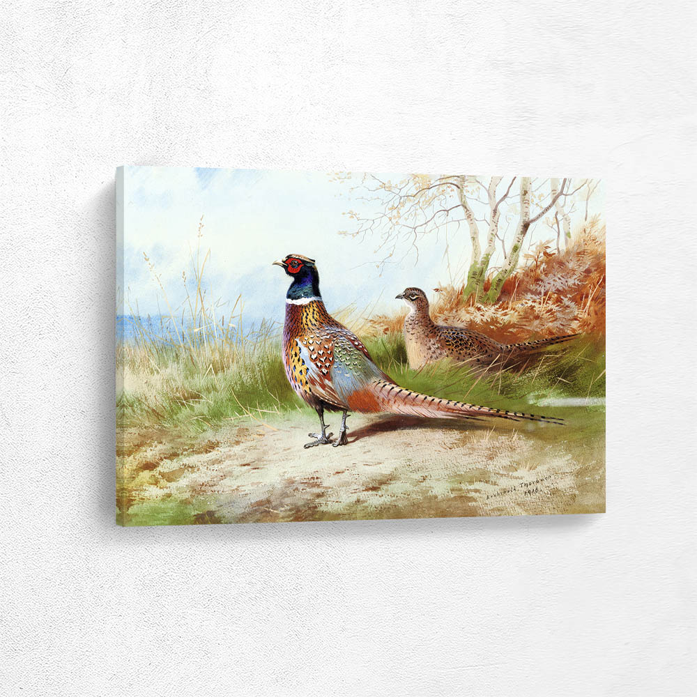 Cock and Hen Pheasant