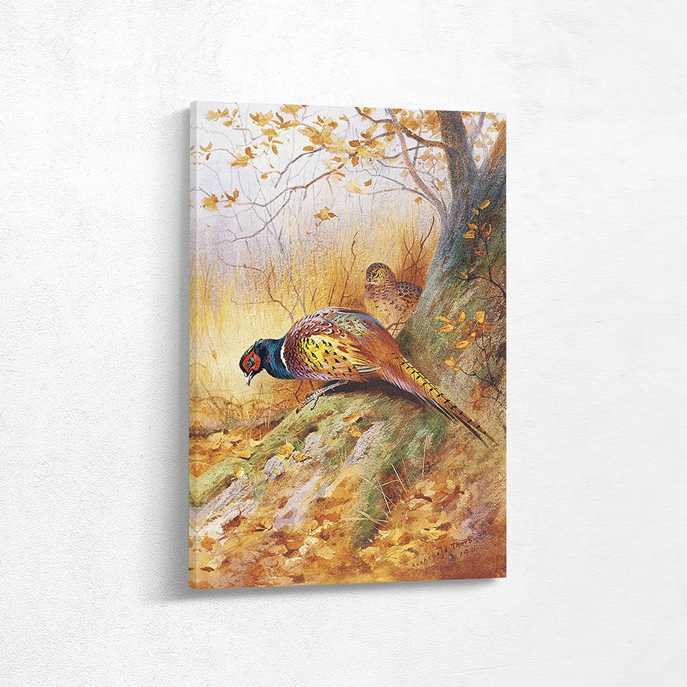 A Pair of Pheasant on the Base of a Moss Covered Oak Tree