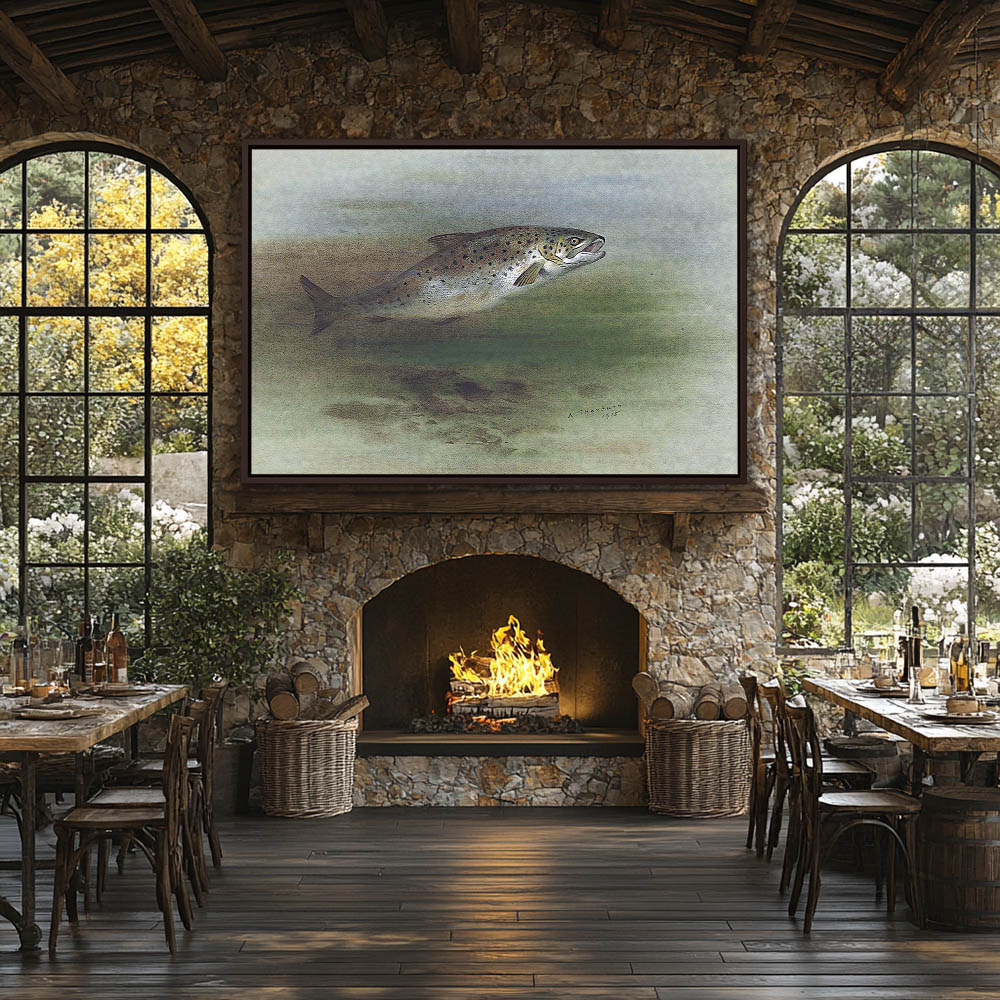 A Brown Trout Jumping - Image 3