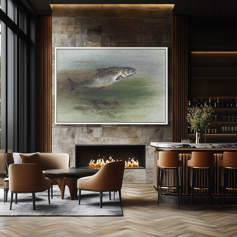 A Brown Trout Jumping - Image 4