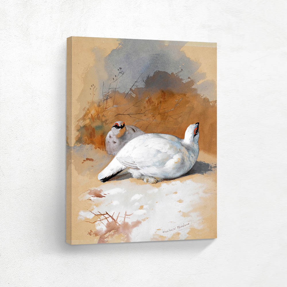 A Brace Of Ptarmigan In The Snow A Brace Of Ptarmigan In The Snow