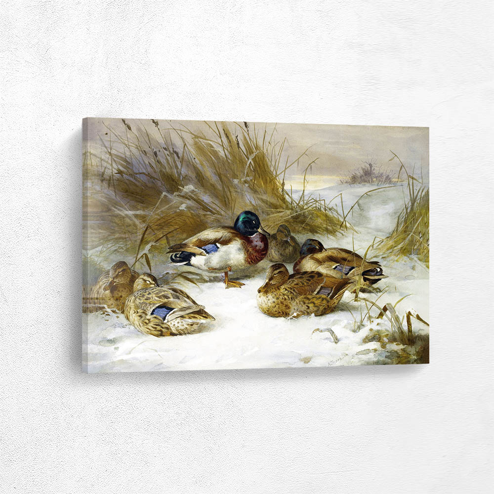 Winter Landscape with Mallards
