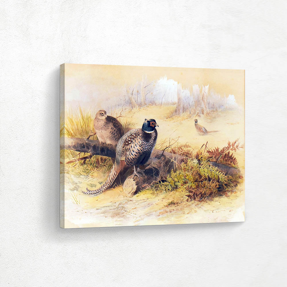 Two Cocks and a Hen Pheasant