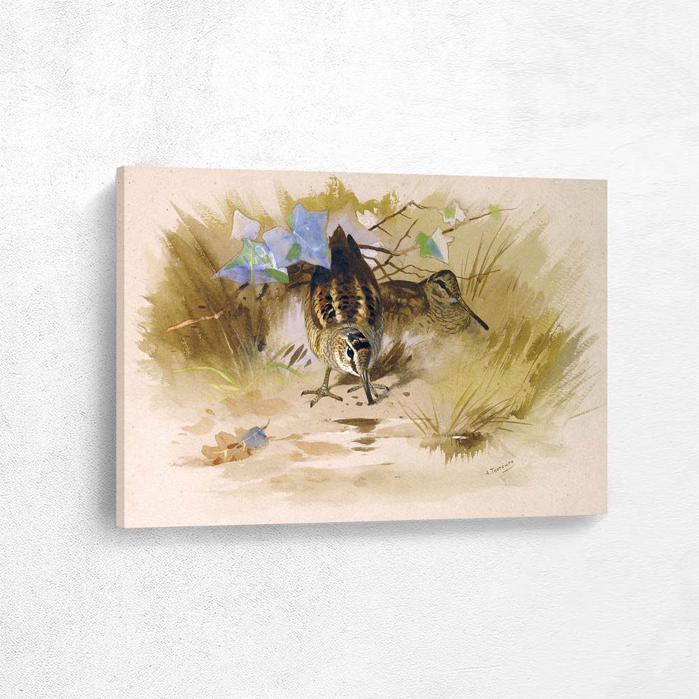 Woodcocks in a Sandy Hollow