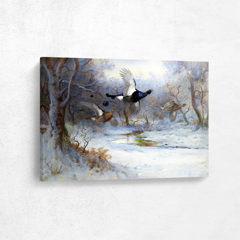 Blackcock and Grouse in Flight