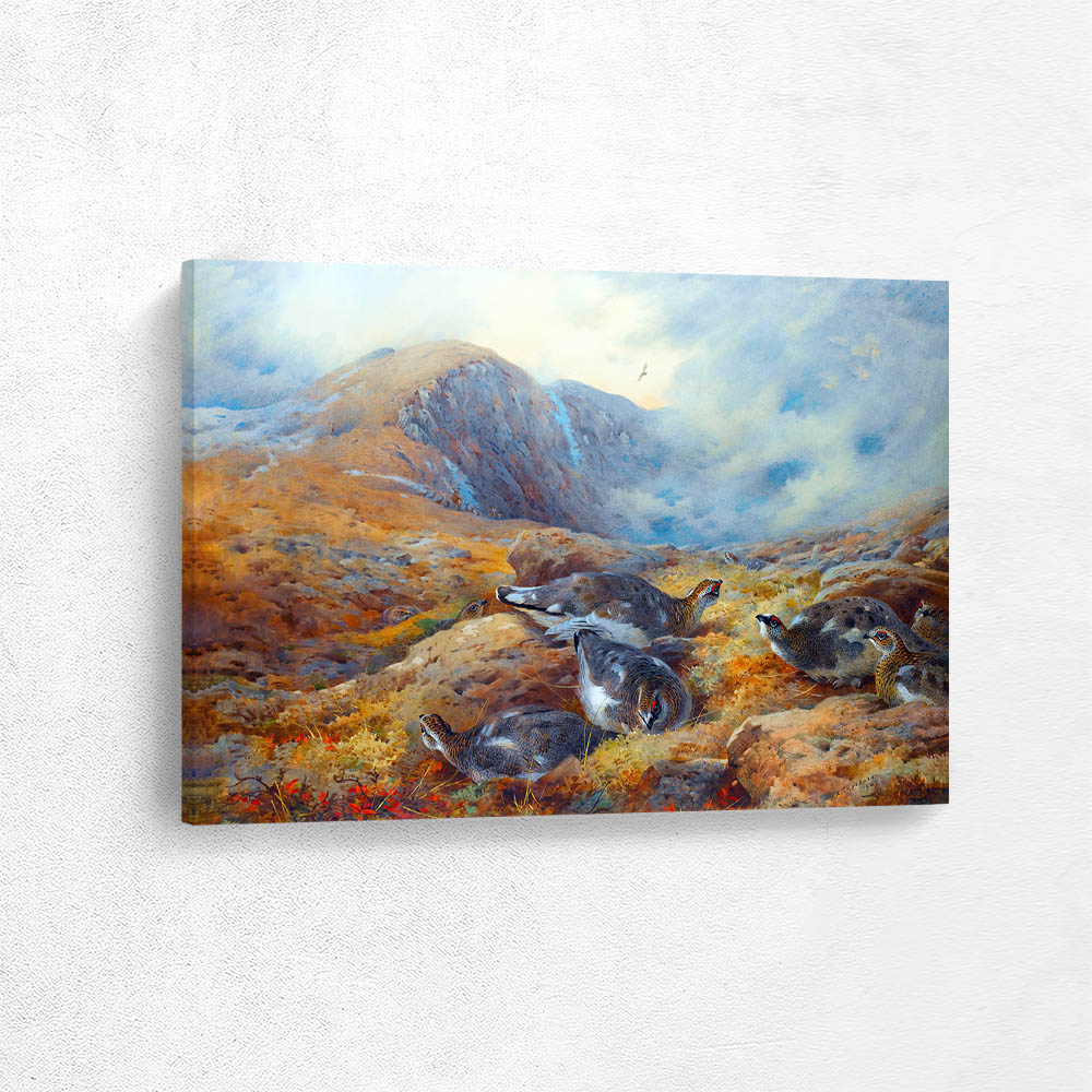 Danger Aloft Ptarmigan