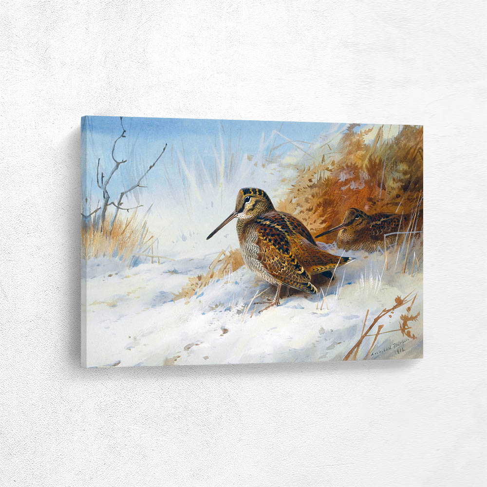 Winter Woodcock