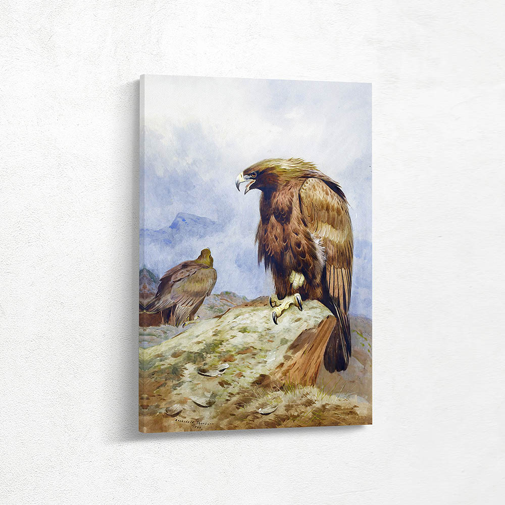 A Pair of Golden Eagles