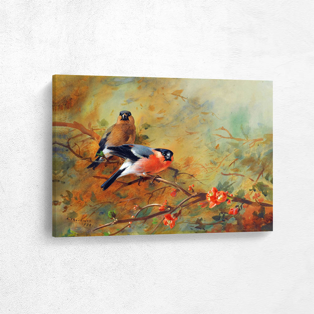 Bullfinche and Pyrus Japonica