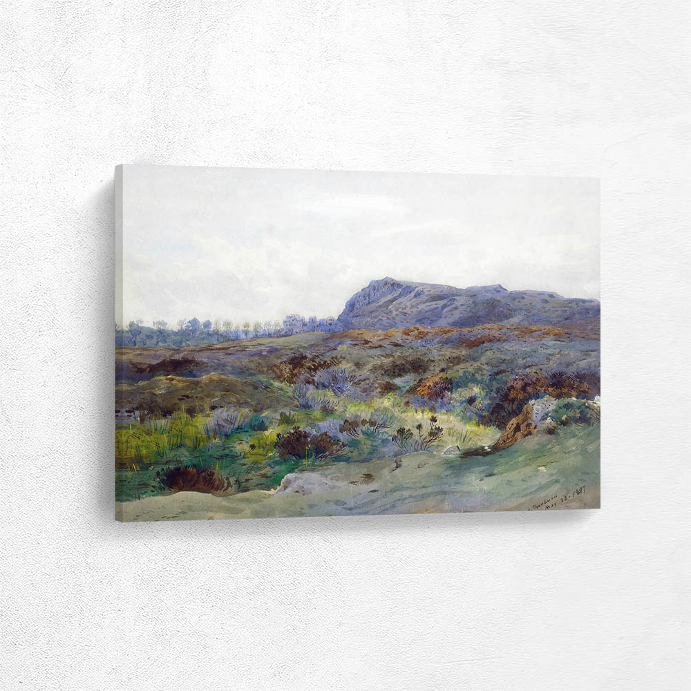 Moorland Landscape