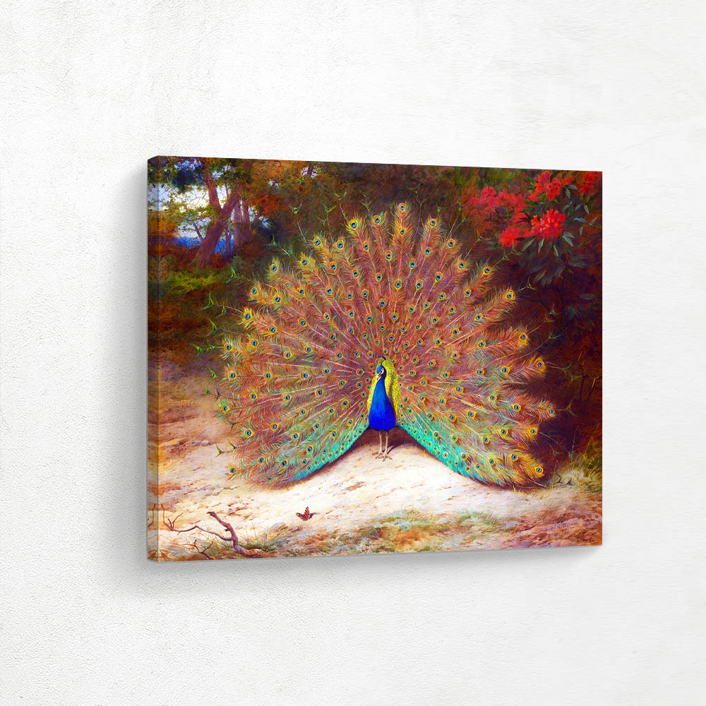 Peacock and Peacock Butterfly