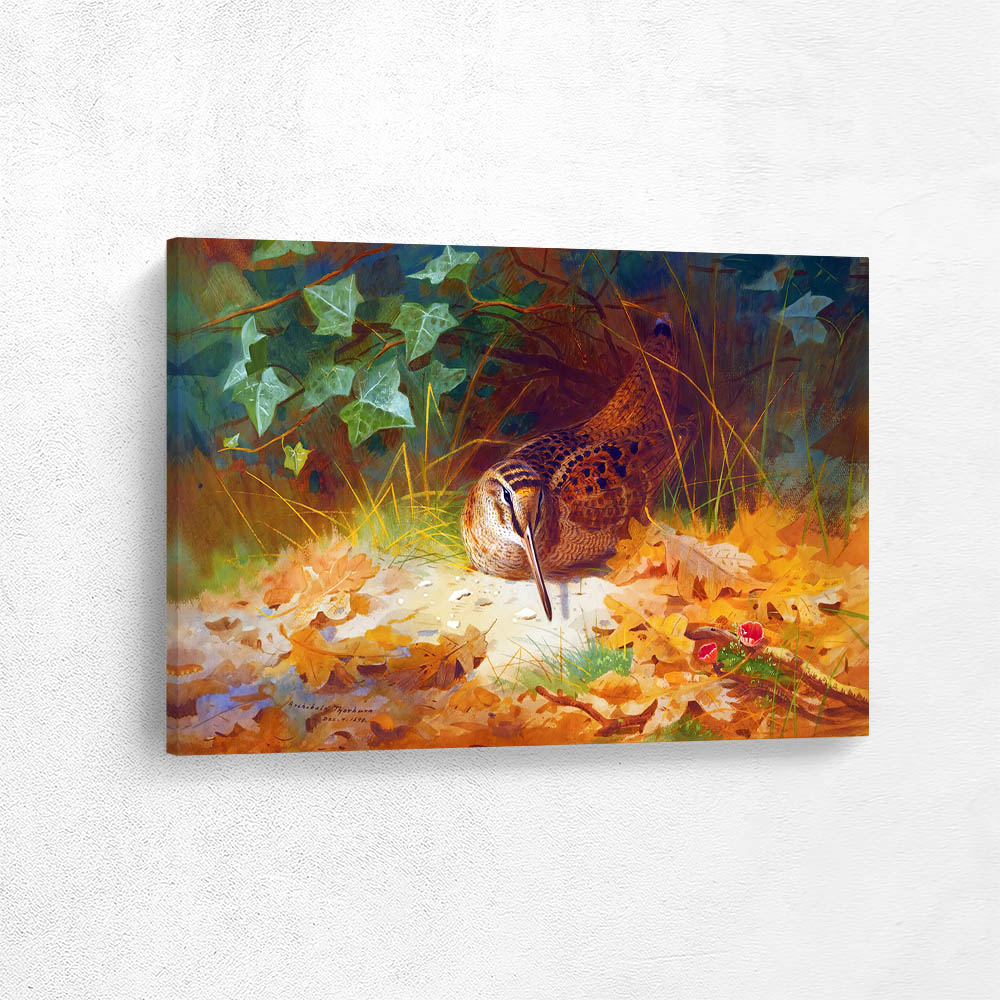 Woodcock in the Leaves