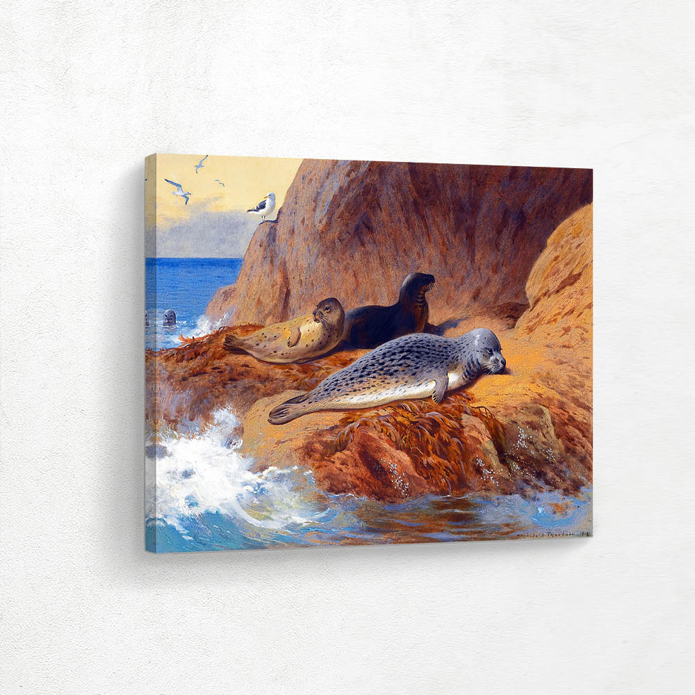 Grey And Harbour Seals At Rest