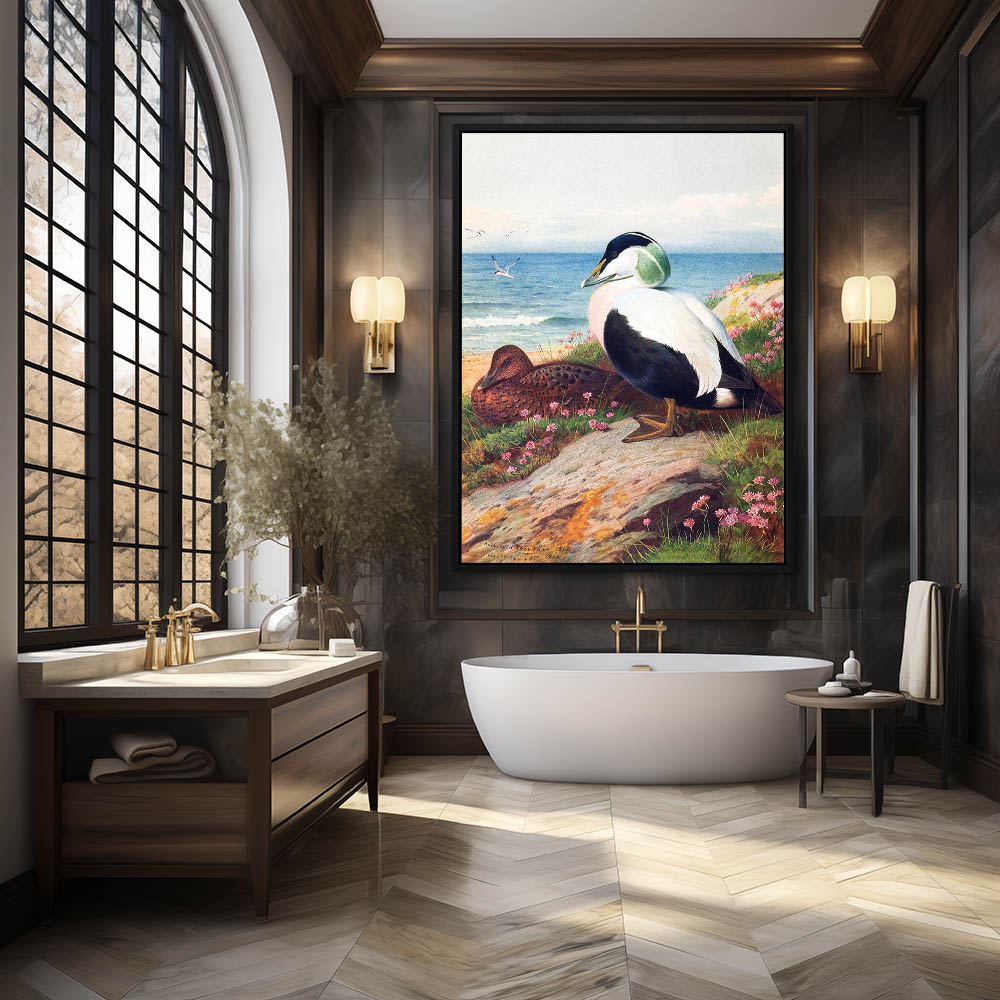 Common Eider Duck - Image 2