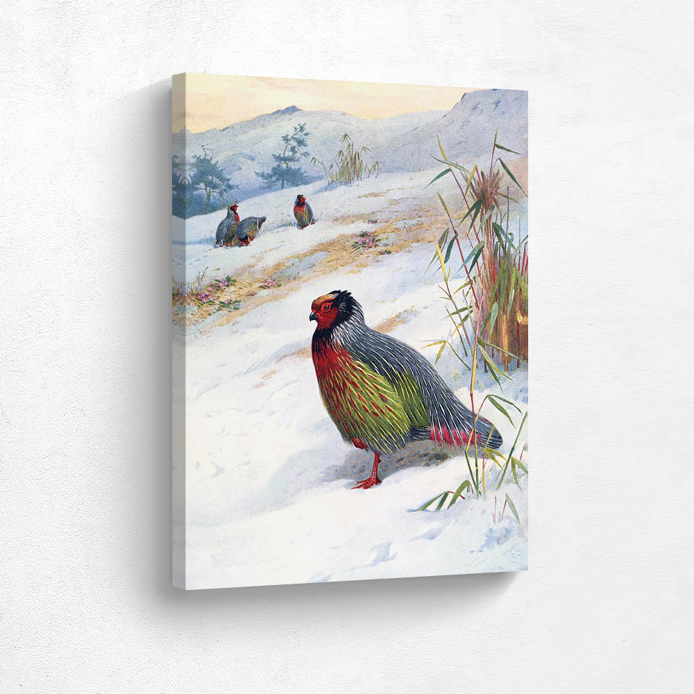 Kusers Blood Partridge