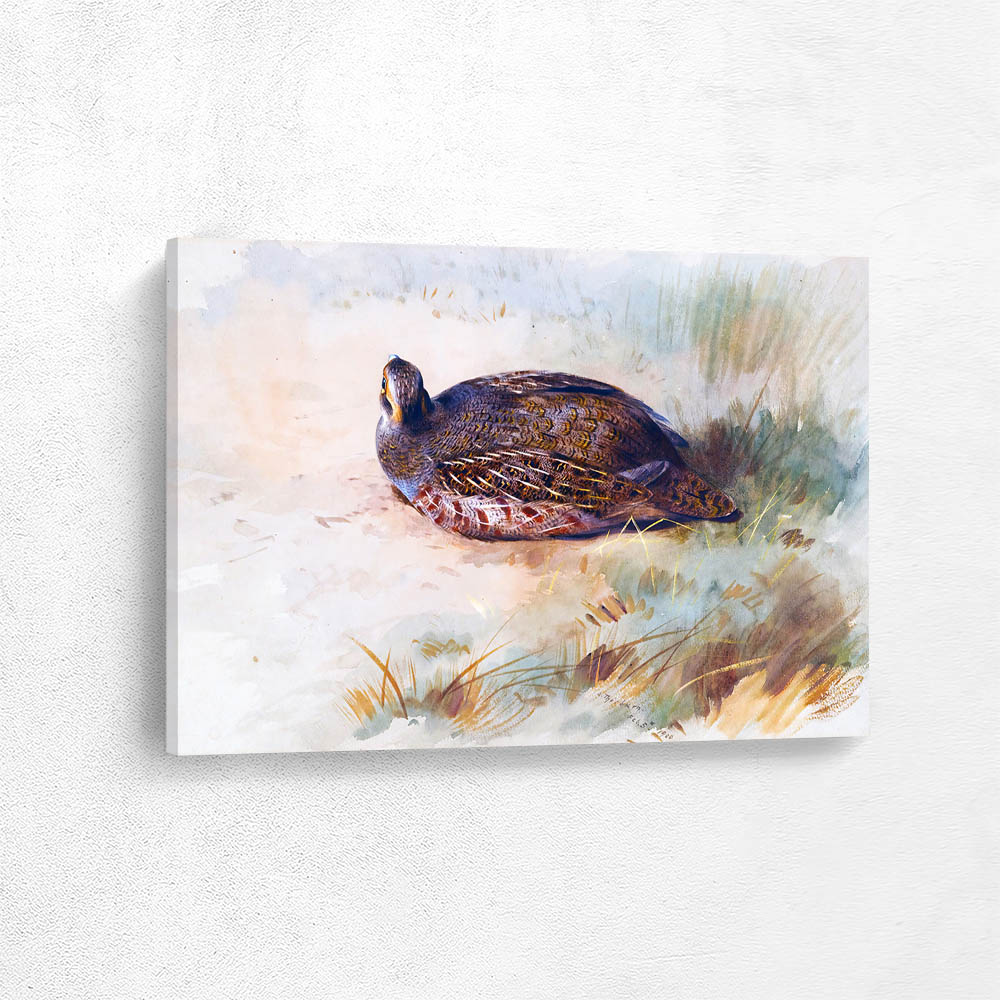 Partridge