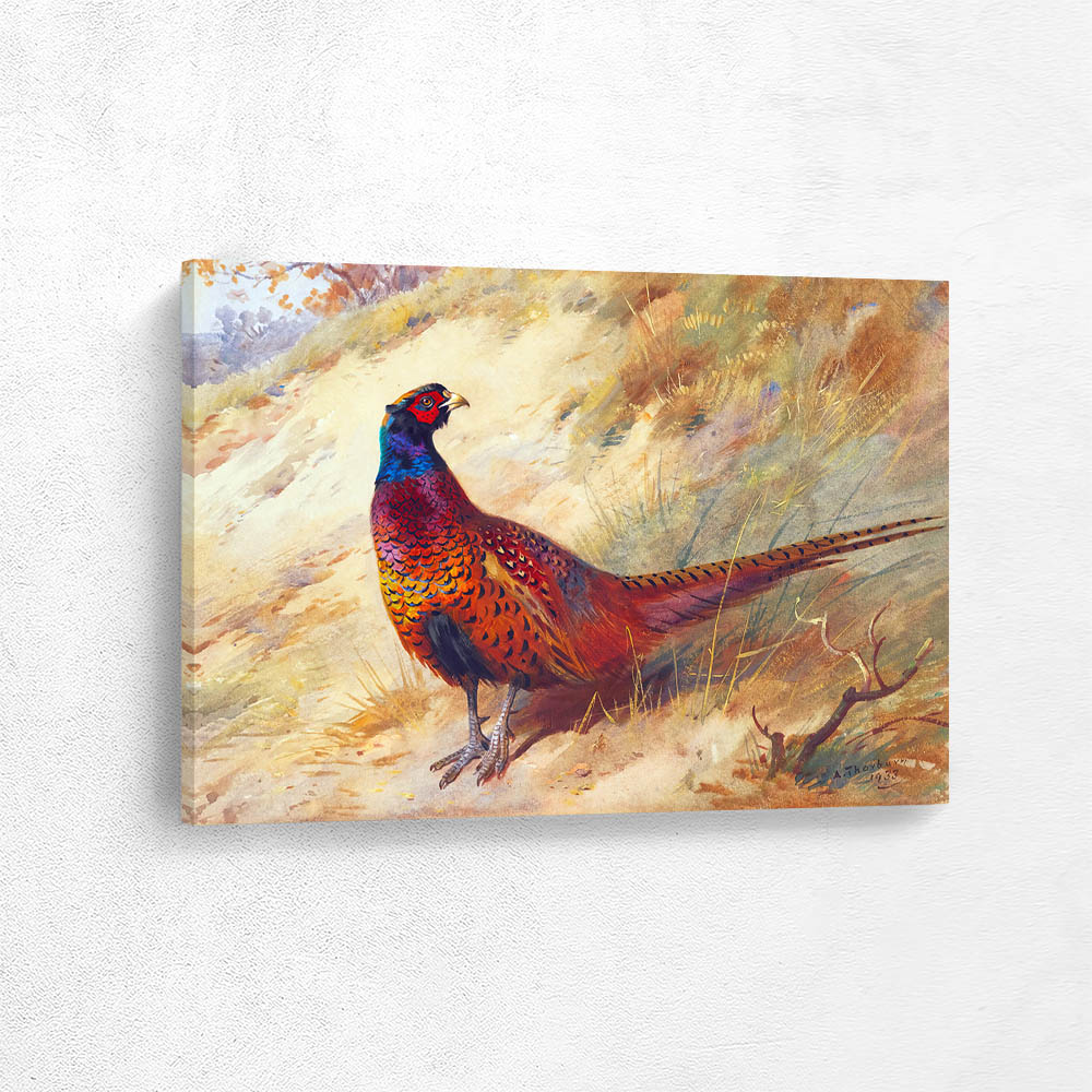 Pheasant